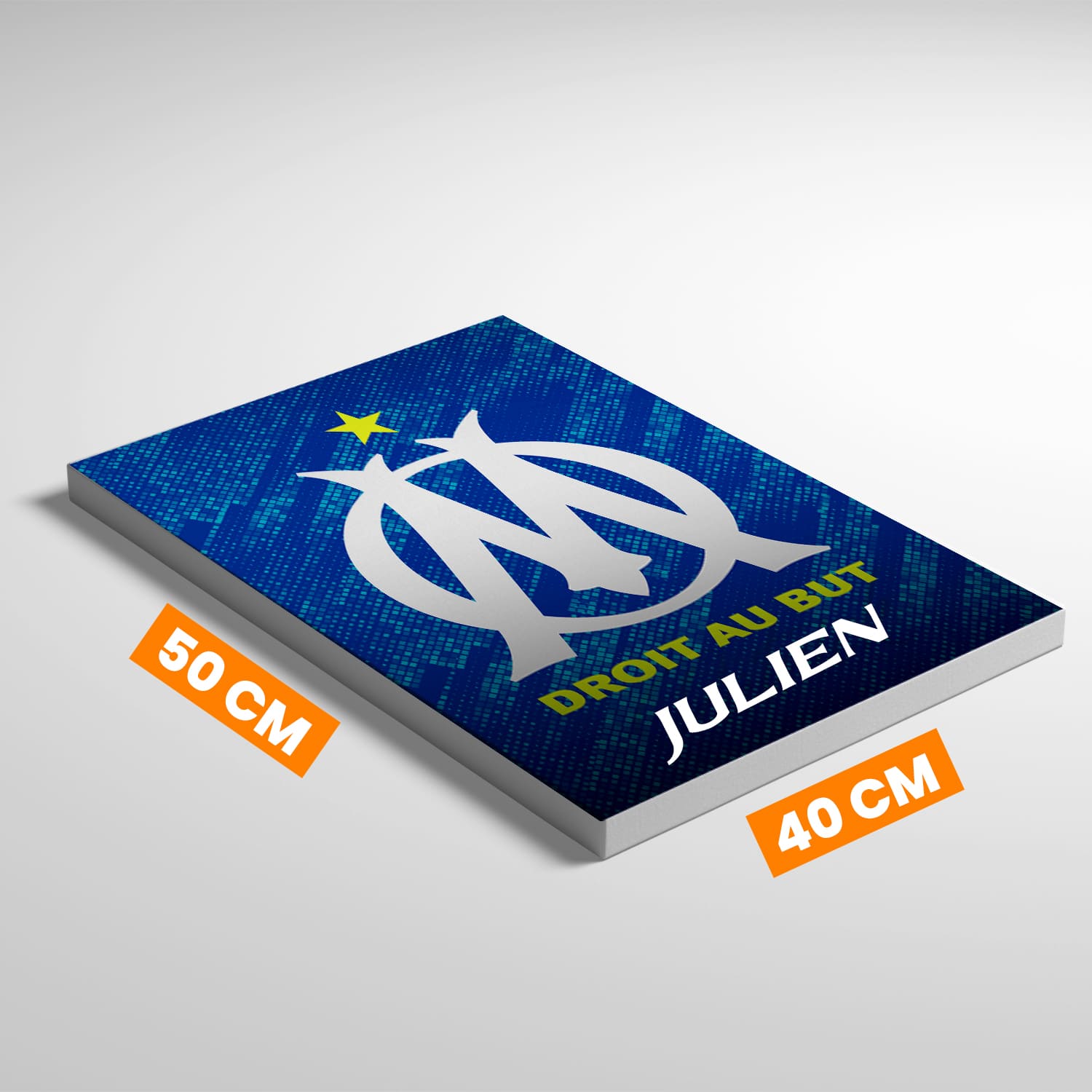 OneTrophy Olympique de Marseille - Toile Logo personnalisable - Third