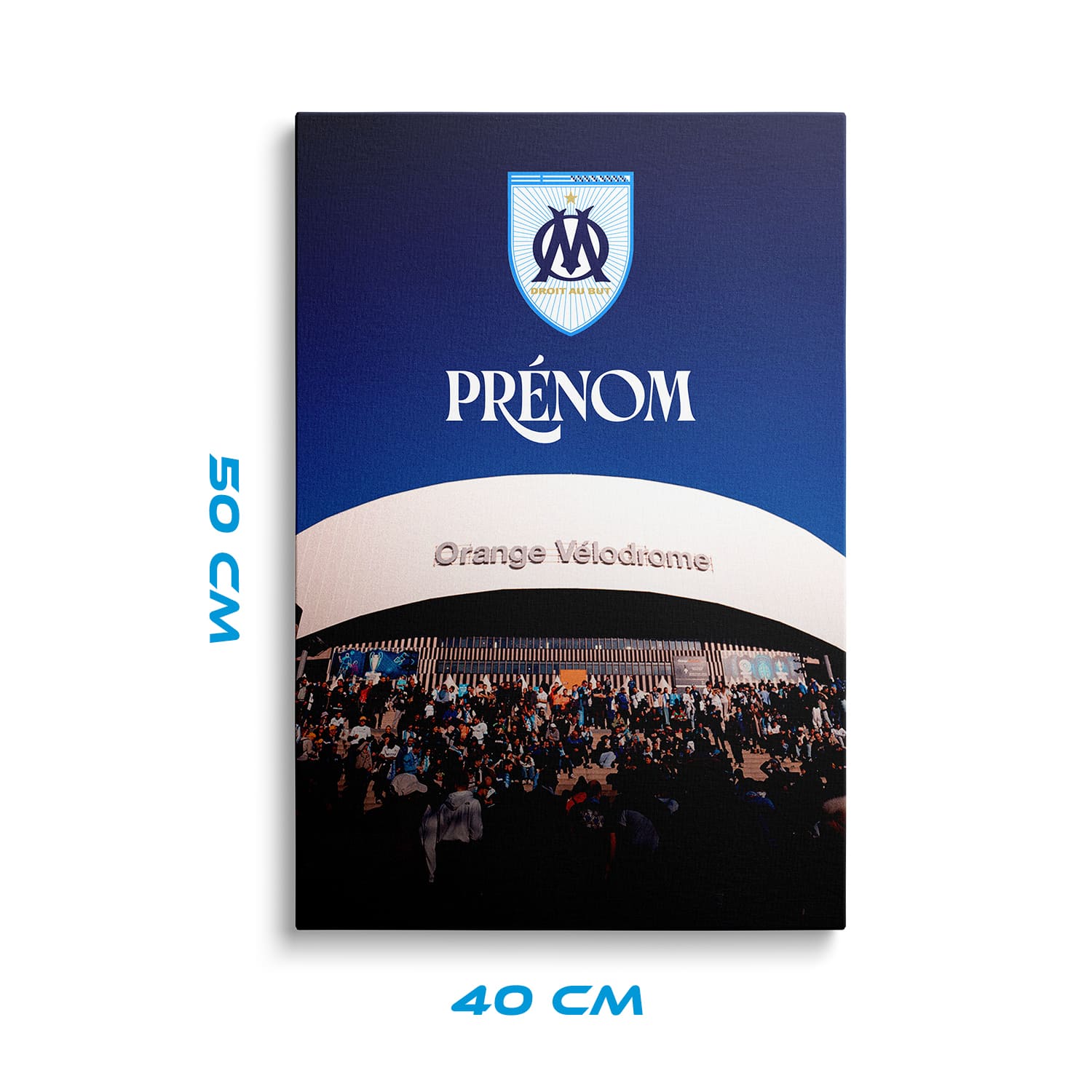 OneTrophy Olympique de Marseille - Toile personnalisable - Terre de passion