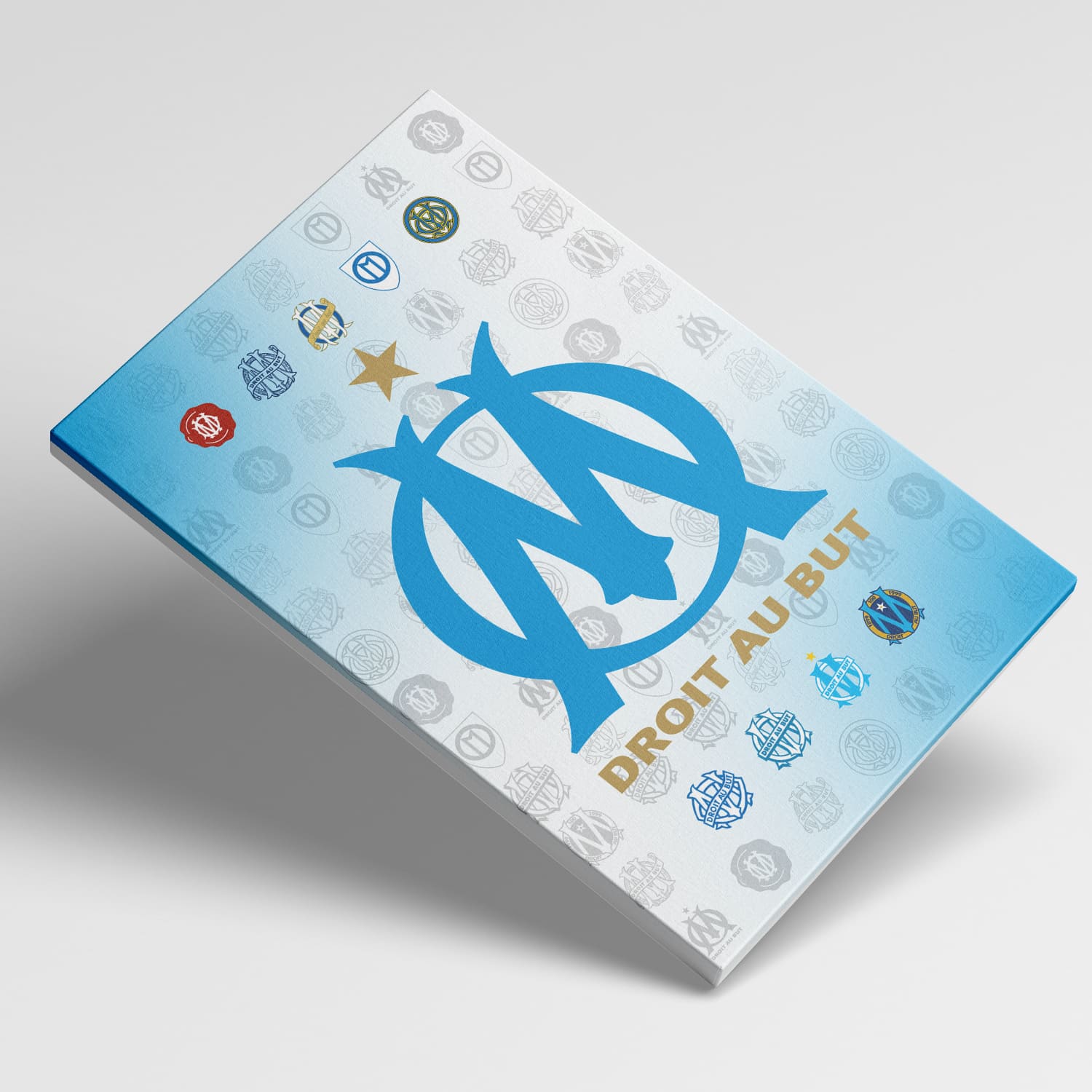 OneTrophy Olympique de Marseille - Toile Logo - Domicile