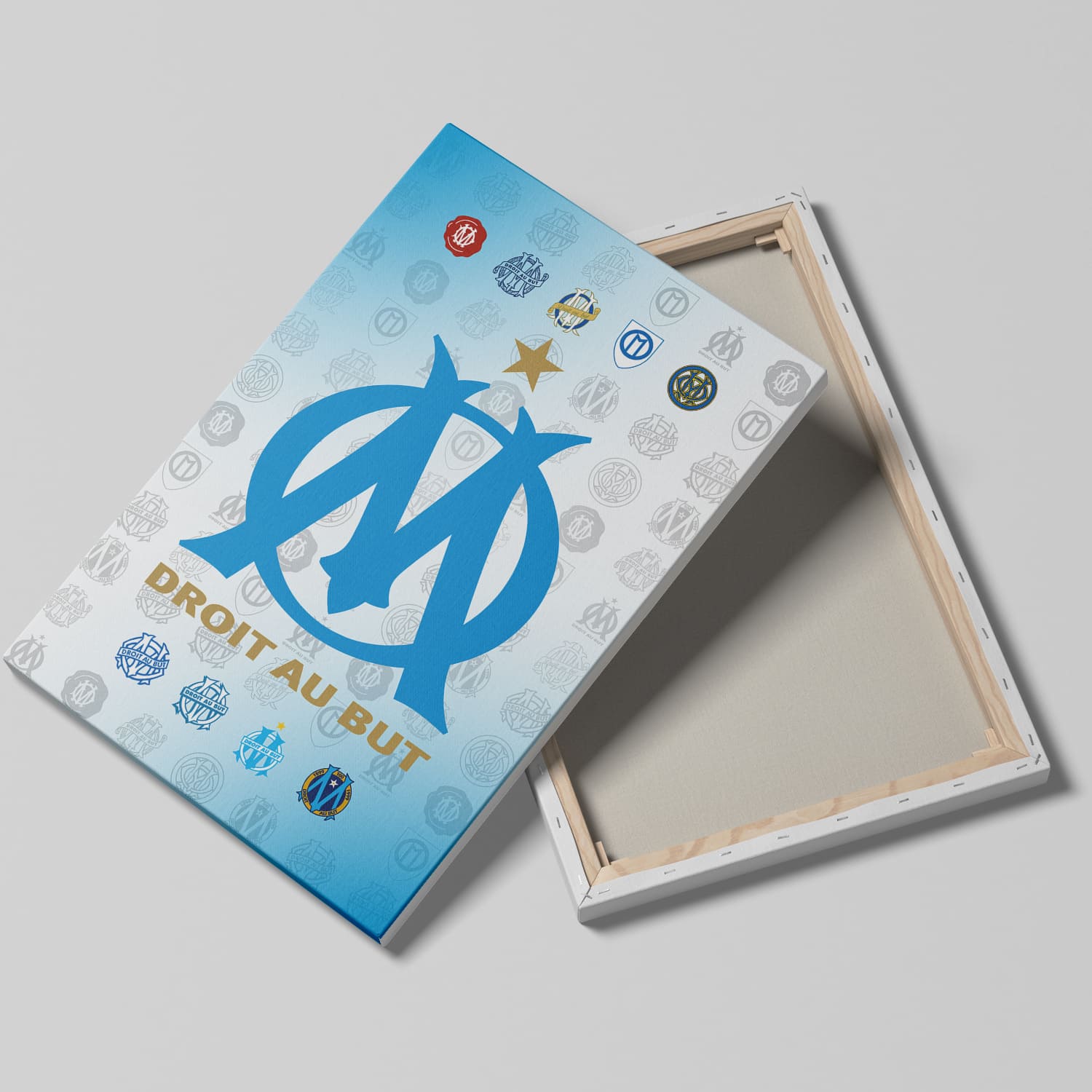 OneTrophy Olympique de Marseille - Toile Logo - Domicile