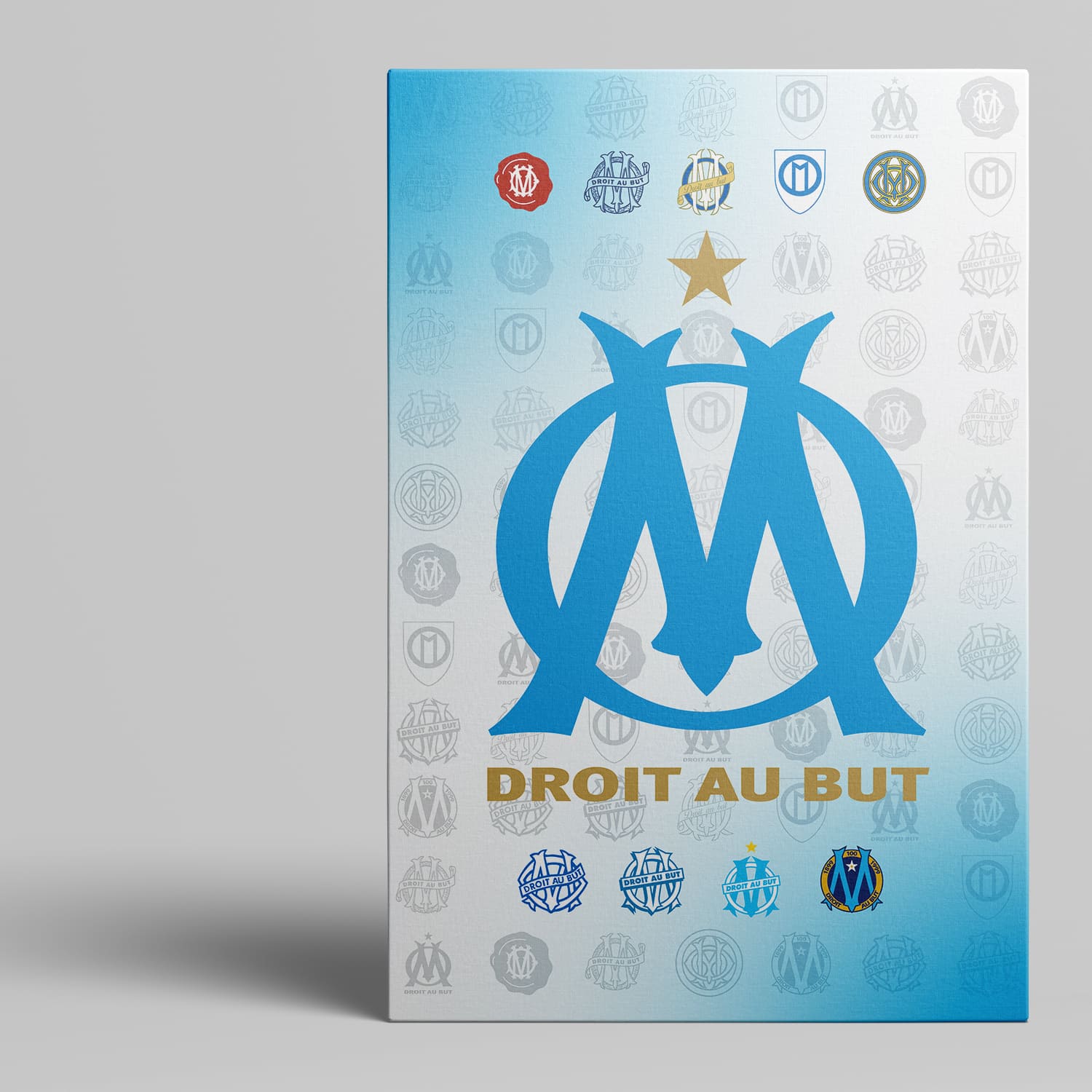 OneTrophy Olympique de Marseille - Toile Logo - Domicile