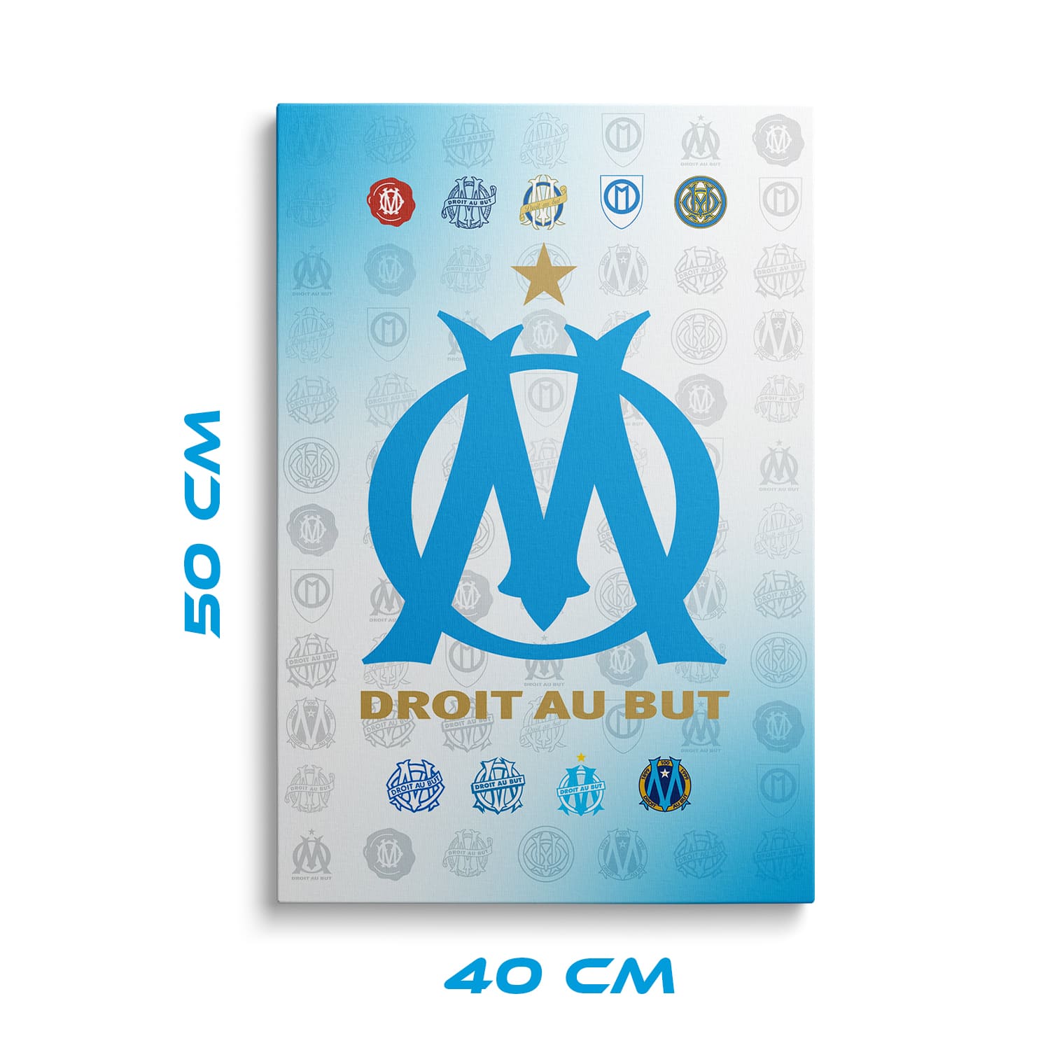 OneTrophy Olympique de Marseille - Toile Logo - Domicile