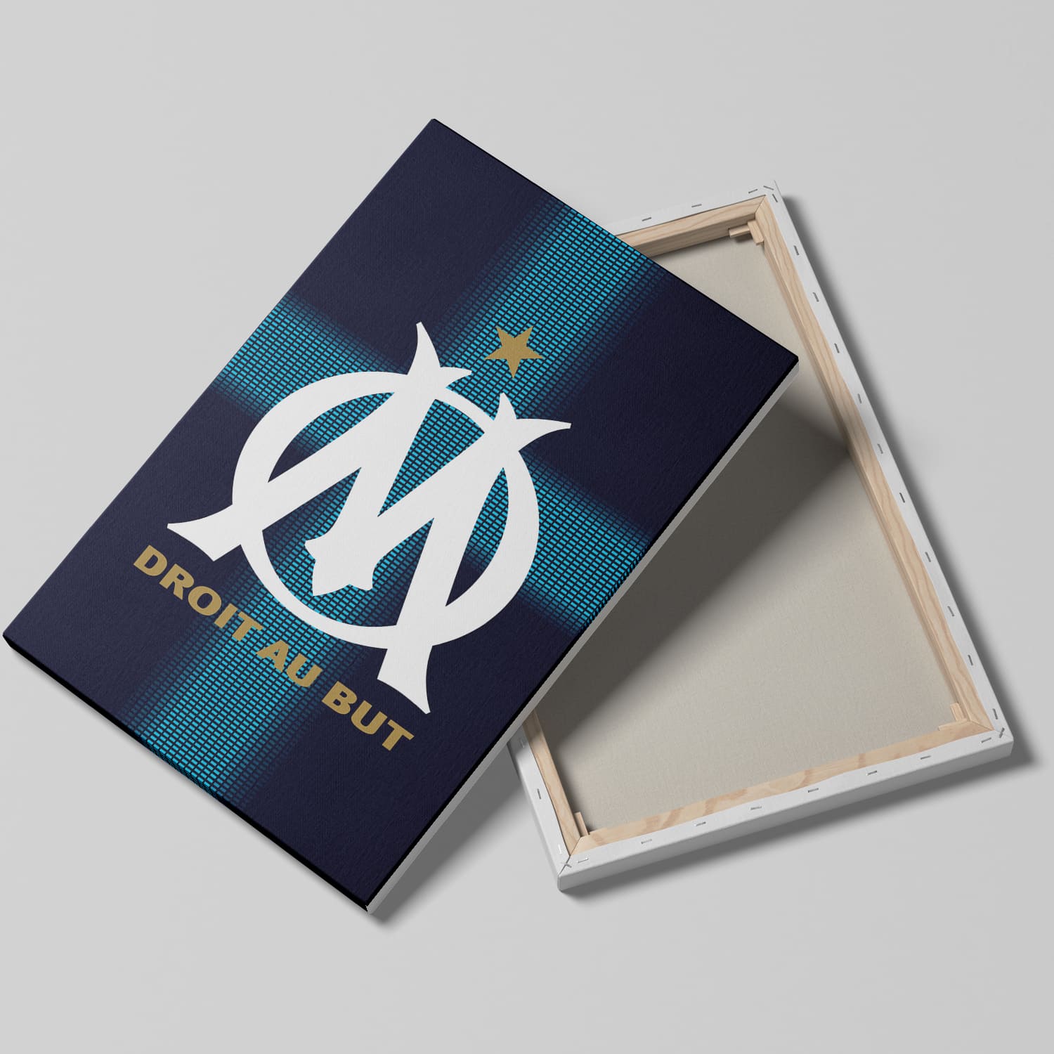 OneTrophy Olympique de Marseille - Toile Logo - Exterieur