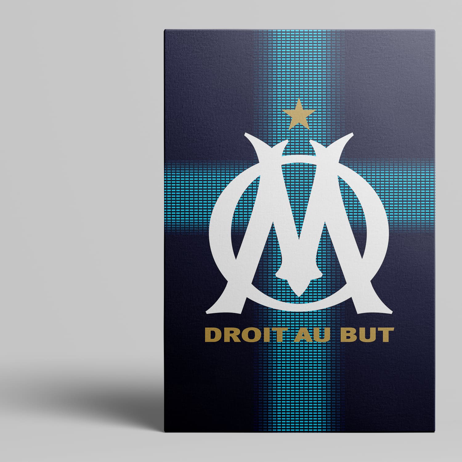 OneTrophy Olympique de Marseille - Toile Logo - Exterieur