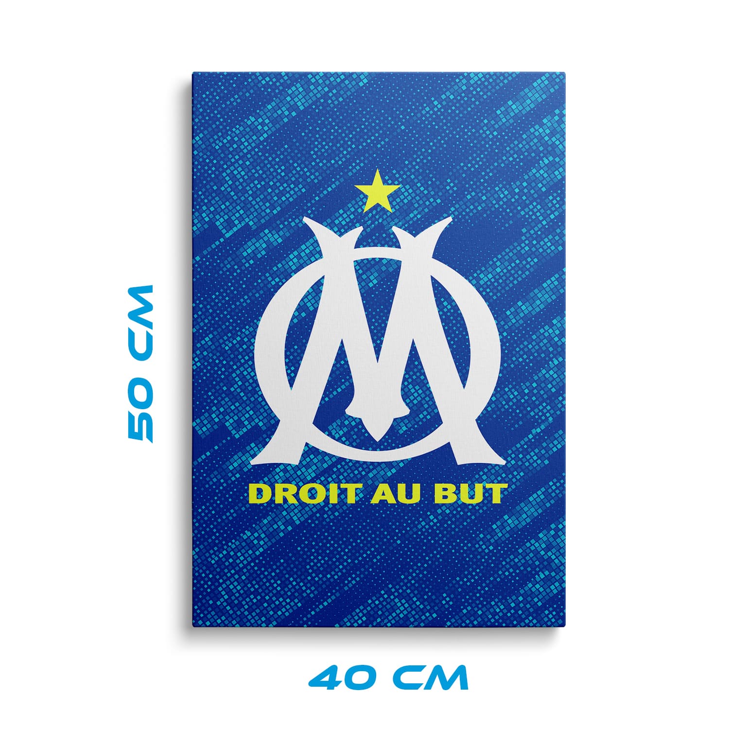 OneTrophy Olympique de Marseille - Toile Logo - Third