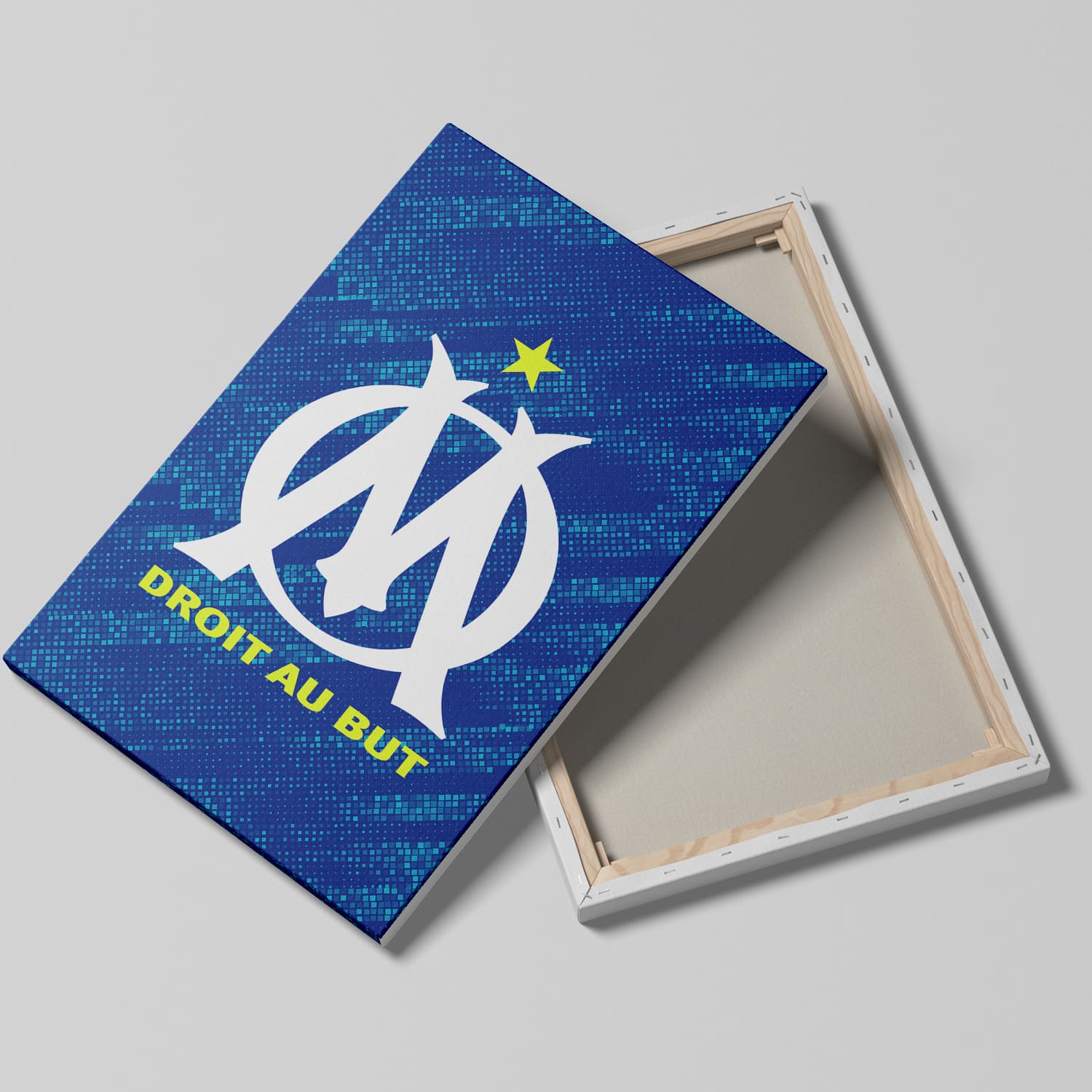 OneTrophy Olympique de Marseille - Toile Logo - Third
