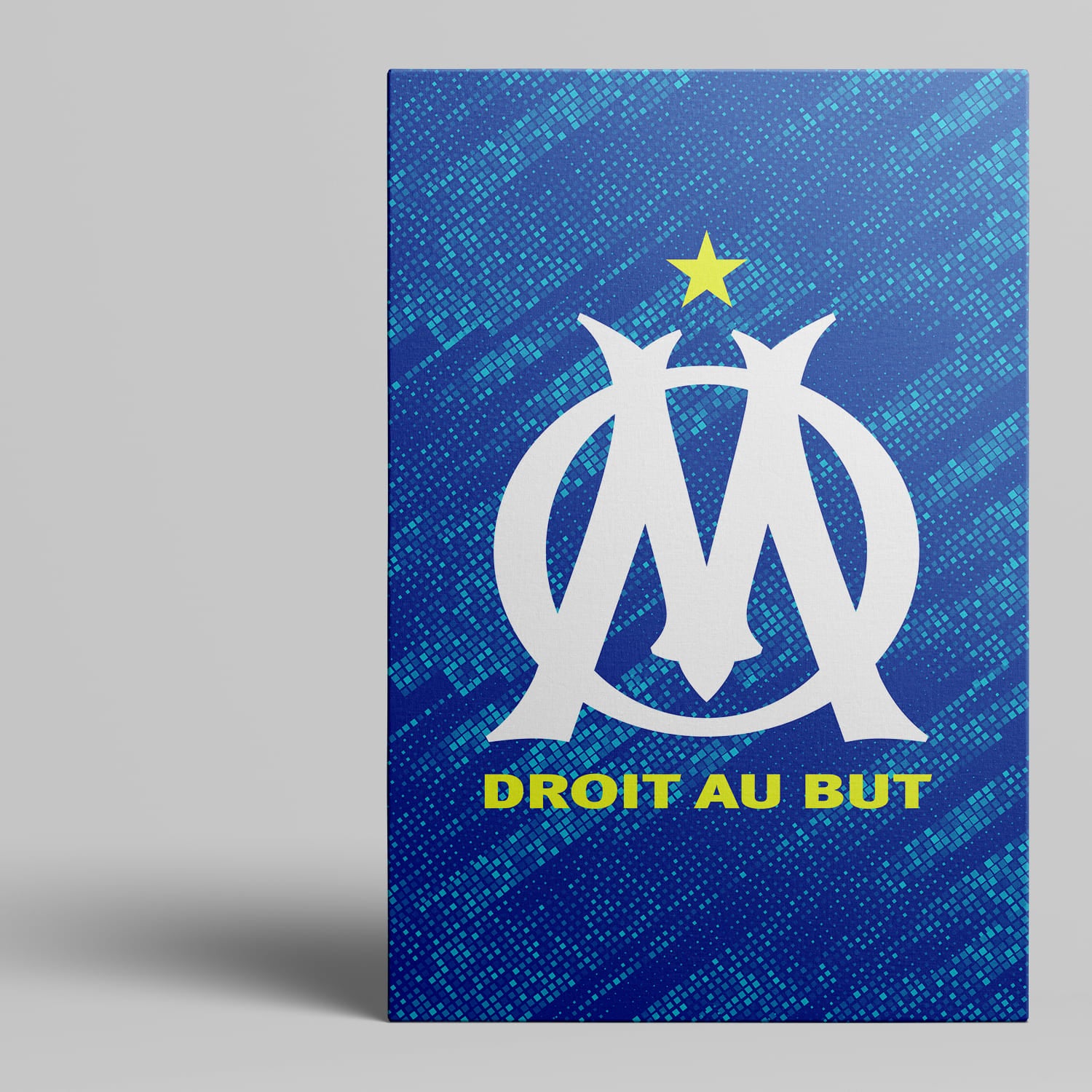 OneTrophy Olympique de Marseille - Toile Logo - Third
