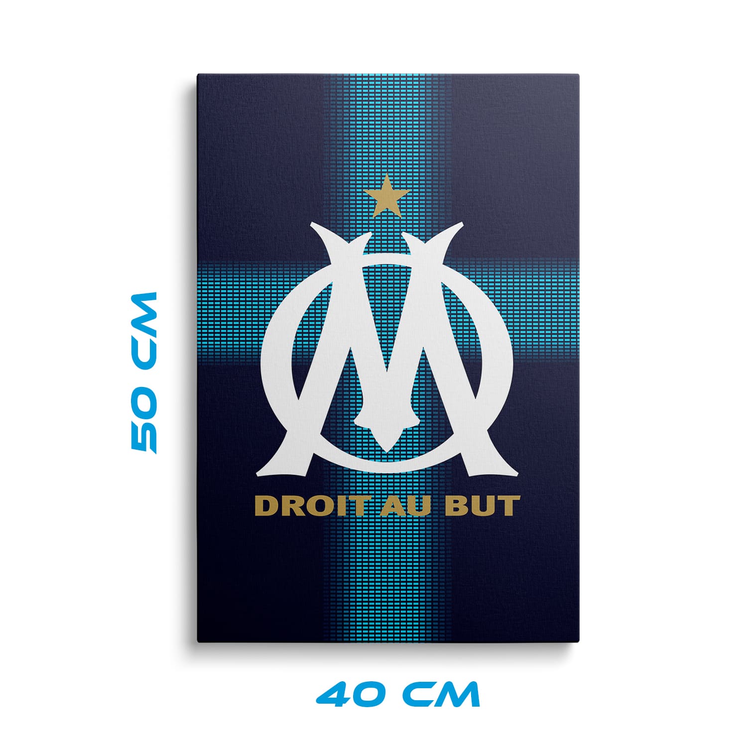 OneTrophy Olympique de Marseille - Toile Logo - Exterieur