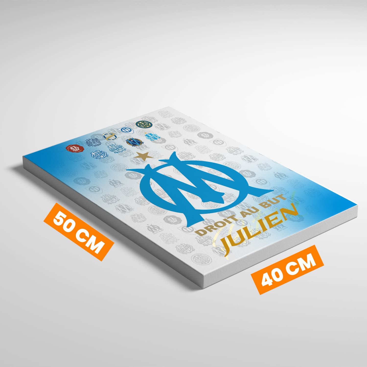 OneTrophy Olympique de Marseille - Toile Logo personnalisable - Domicile