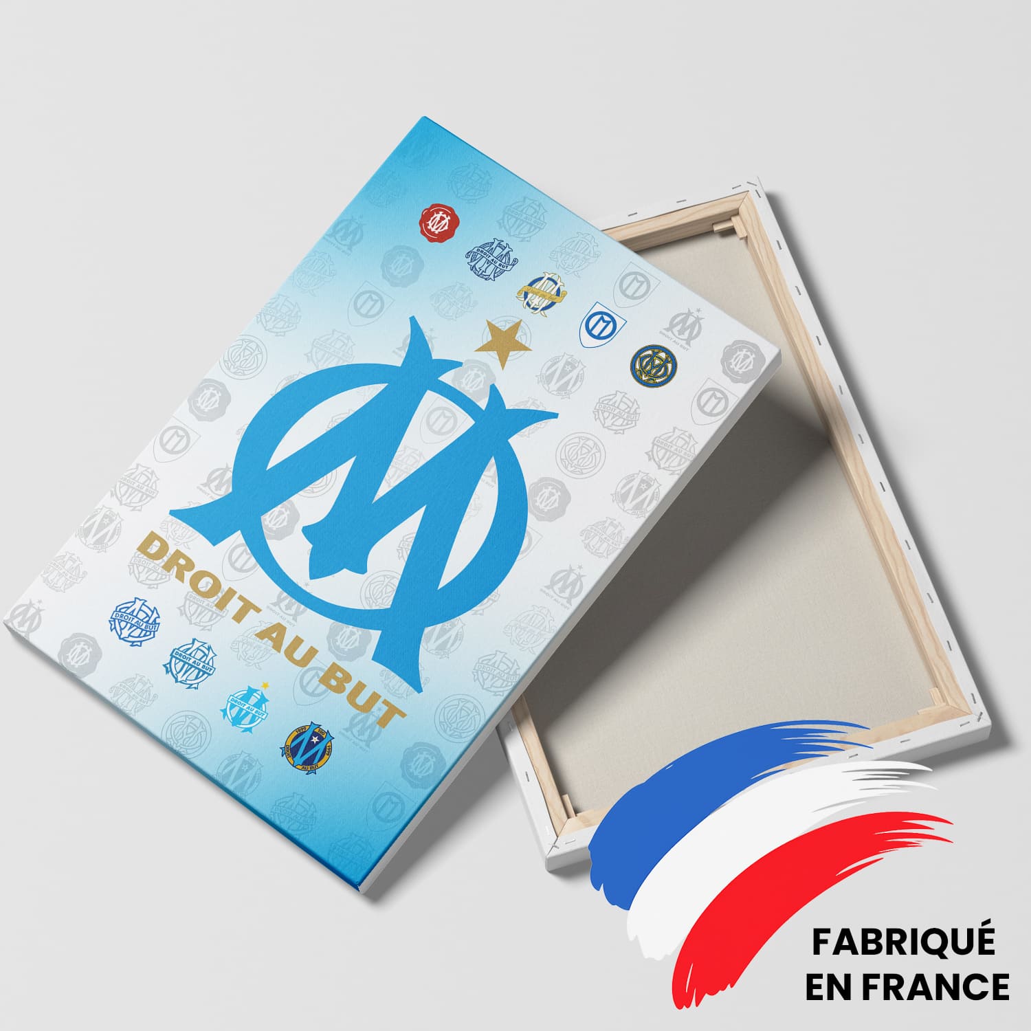 OneTrophy Olympique de Marseille - Toile Logo - Domicile
