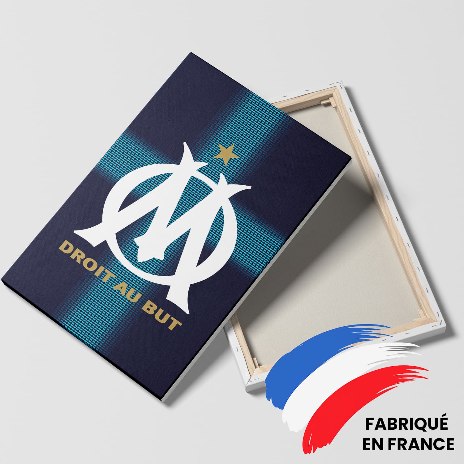 OneTrophy Olympique de Marseille - Toile Logo - Exterieur