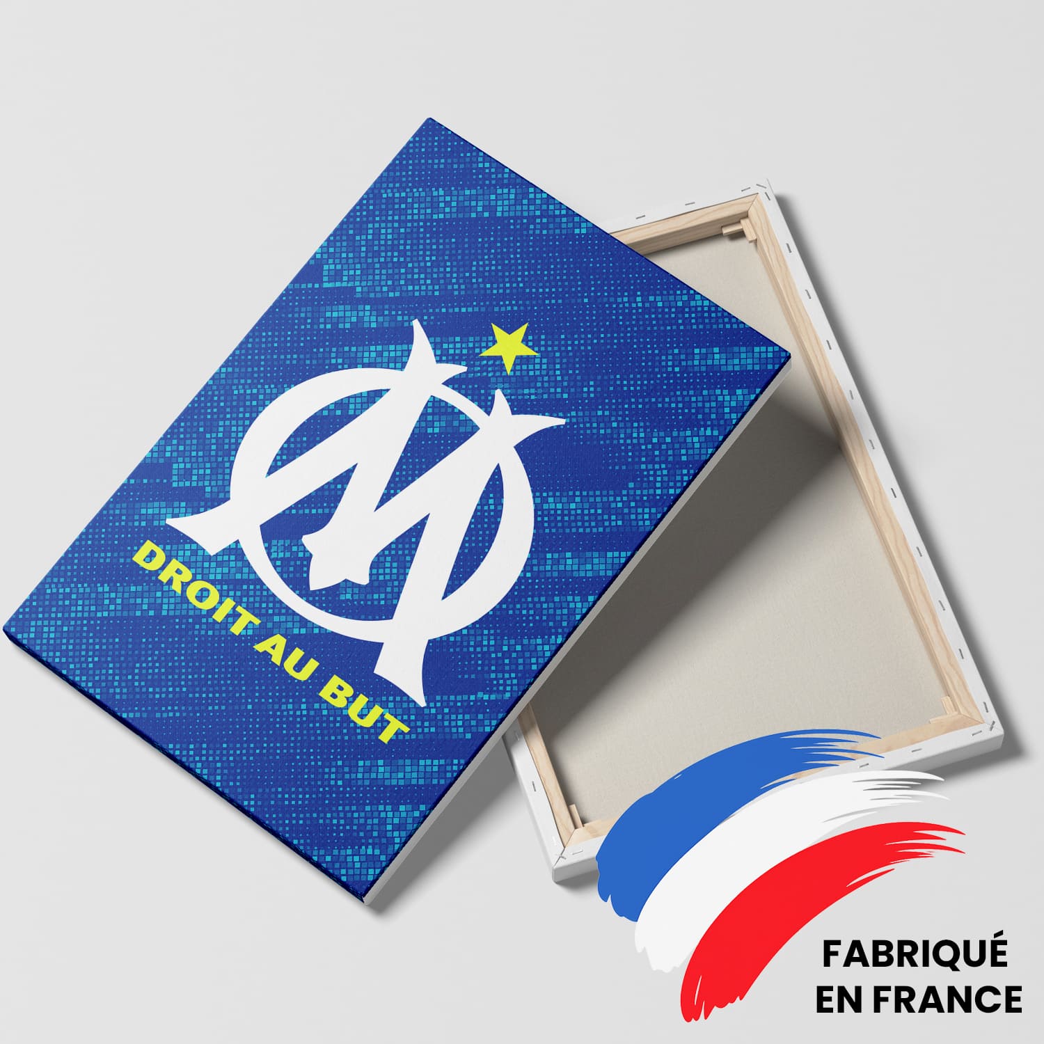 OneTrophy Olympique de Marseille - Toile Logo - Third