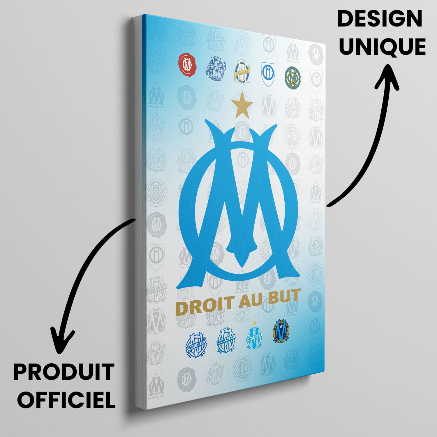 OneTrophy Olympique de Marseille - Toile Logo - Domicile