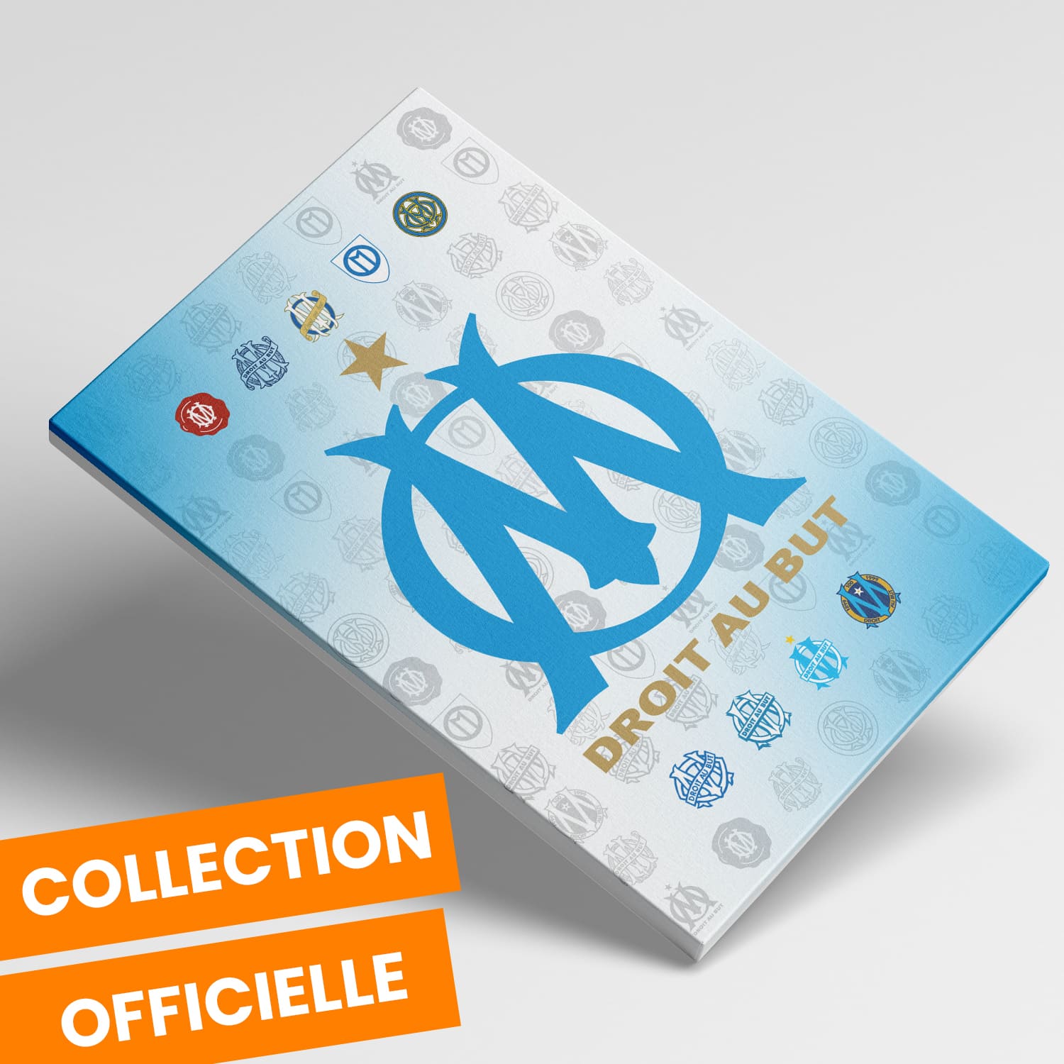 OneTrophy Olympique de Marseille - Toile Logo - Domicile