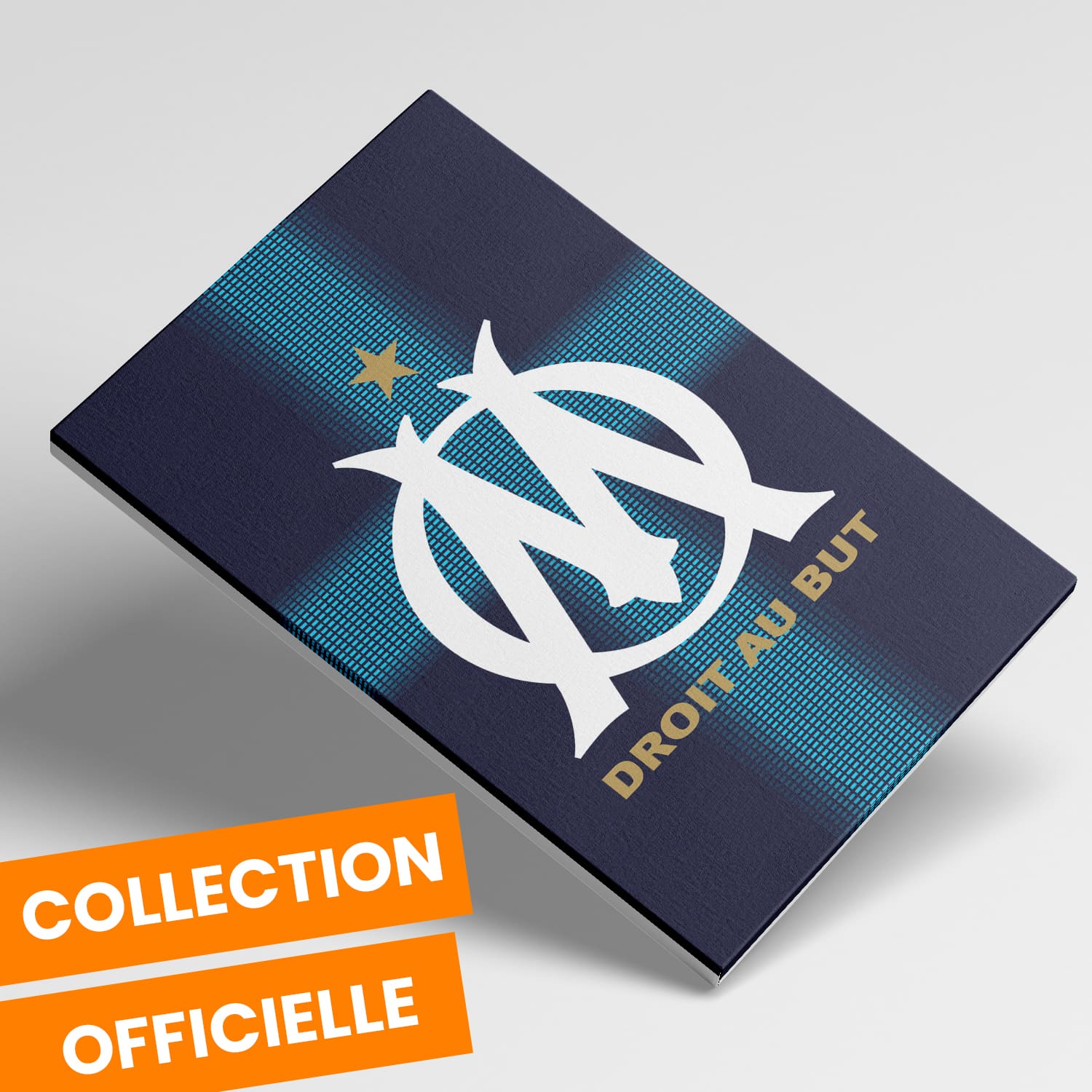 OneTrophy Olympique de Marseille - Toile Logo - Exterieur