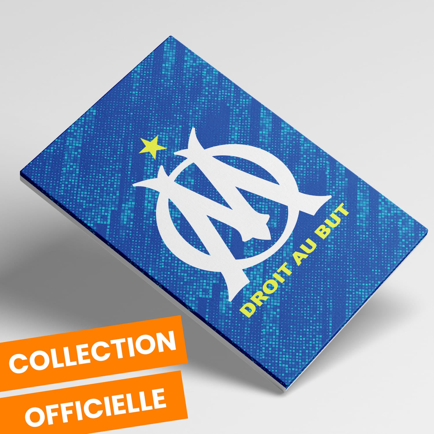 OneTrophy Olympique de Marseille - Toile Logo - Third