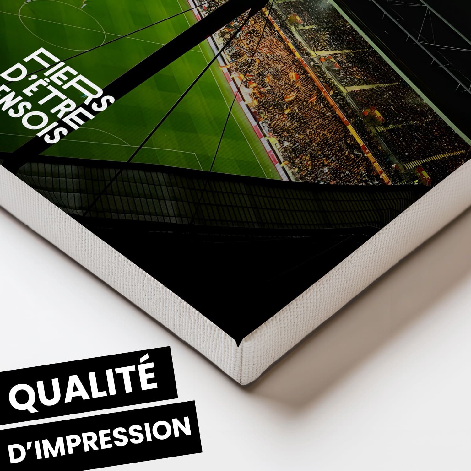 OneTrophy RC Lens - Toile personnalisable - Bollaert en lumière