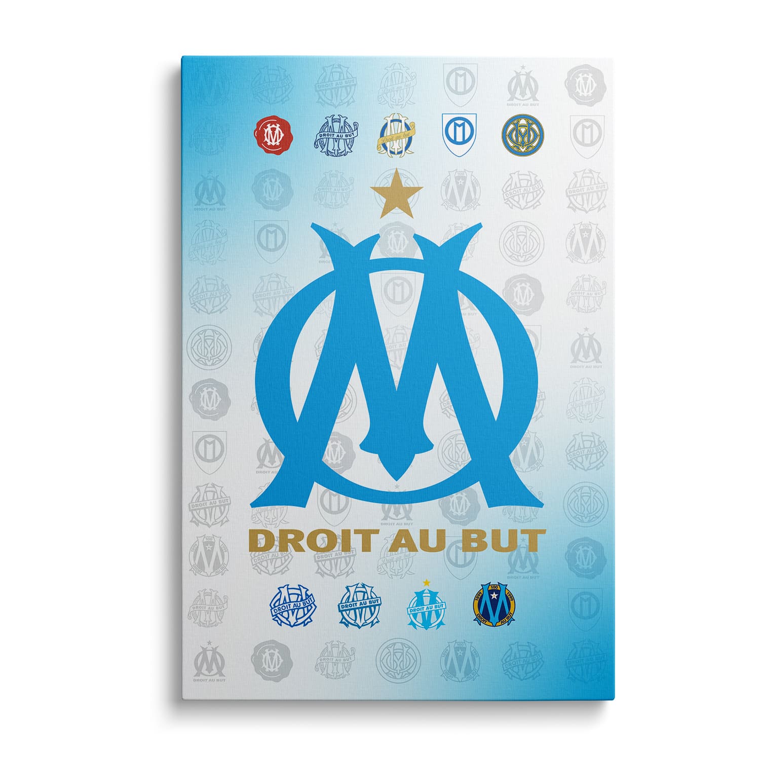 OneTrophy Olympique de Marseille - Toile Logo - Domicile