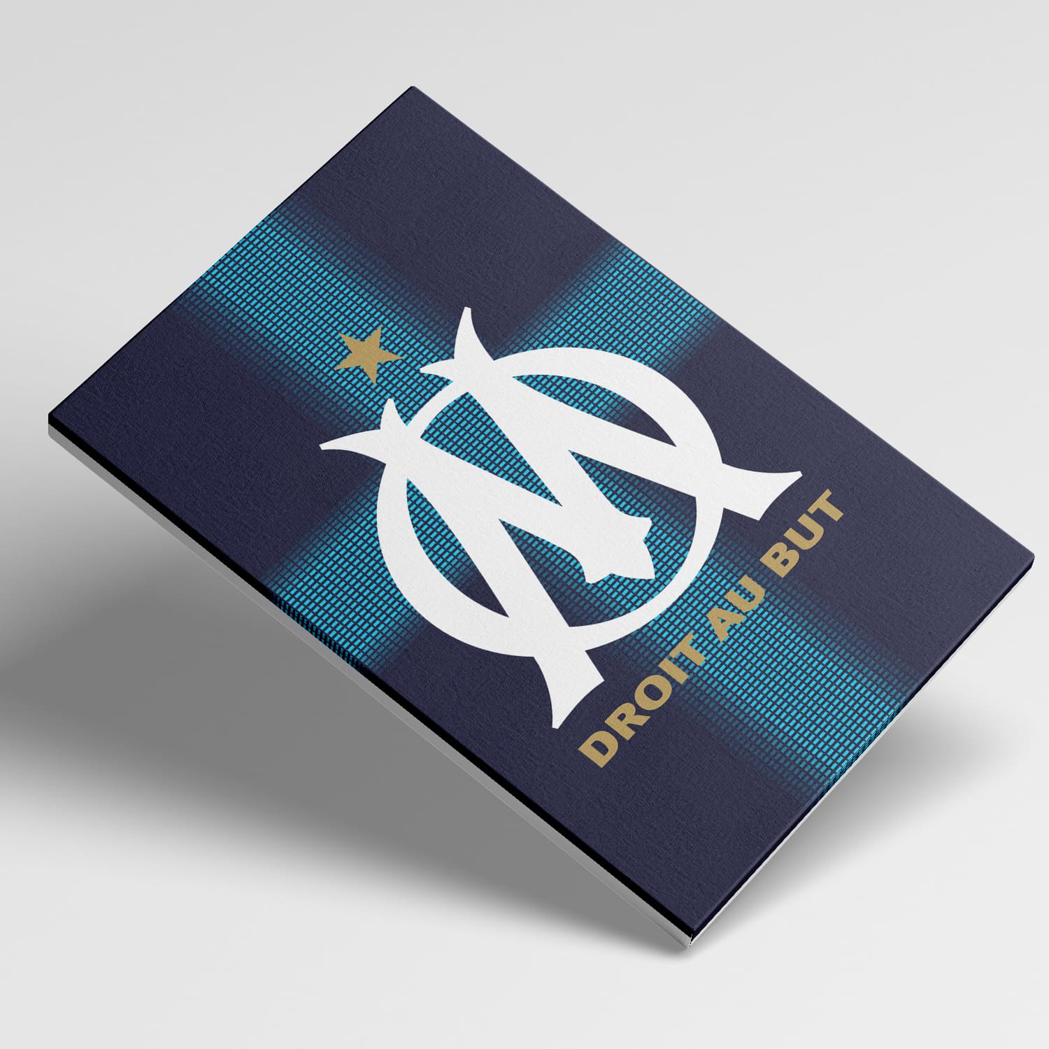 OneTrophy Olympique de Marseille - Toile Logo - Exterieur
