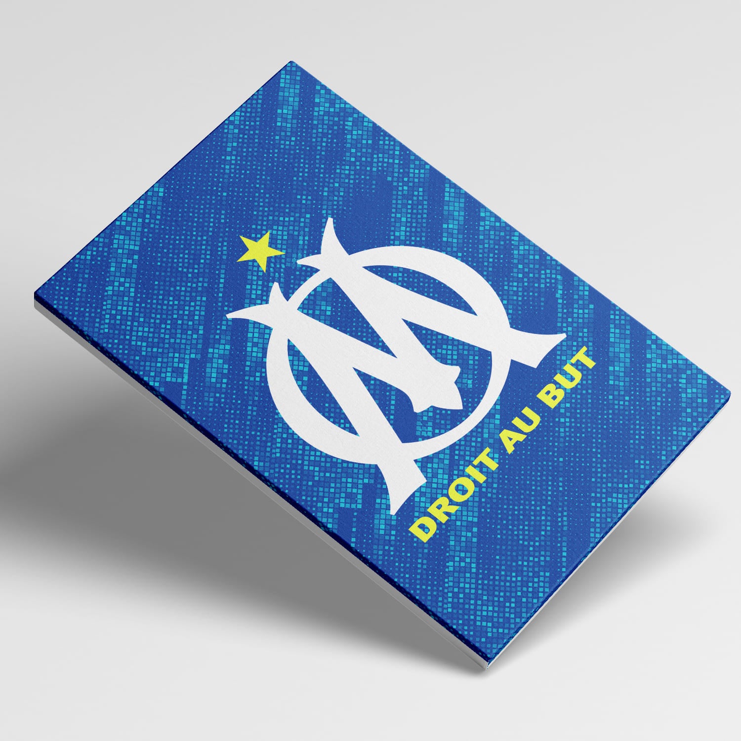 OneTrophy Olympique de Marseille - Toile Logo - Third